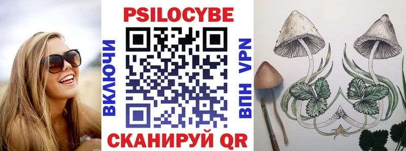 Галлюциногенные грибы мицелий  Баксан 